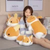 kf H0e0f86e081b14935aa5b428fd3be3e03S - Corgi Gifts
