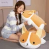 kf H14b25060332f429faad26a0fe0dc33ecA - Corgi Gifts