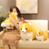 kf HTB1D.NsaLLsK1Rjy0Fbq6xSEXXaU - Corgi Gifts