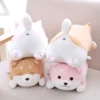 kf He75f4b2ef96f48f5b773b397bcf3ce27g - Corgi Gifts