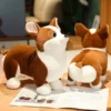 kf S19e80162990549da9d2959896dffd66dV - Corgi Gifts