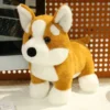 kf S1e2f0364f6974ba9b920e8254bbc94bdv - Corgi Gifts