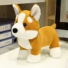 kf S338d8e00728f4319880e3aecba5d549bV - Corgi Gifts