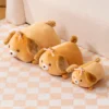 kf S7c27b2221ff64aadb7fa33b16fe9e53fr - Corgi Gifts