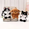 kf Sc62f1e96e0704d679e1d1776cafb6f79W - Corgi Gifts